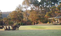 Book Walpole Accommodation Vacations Grafton Accommodation Grafton Accommodation