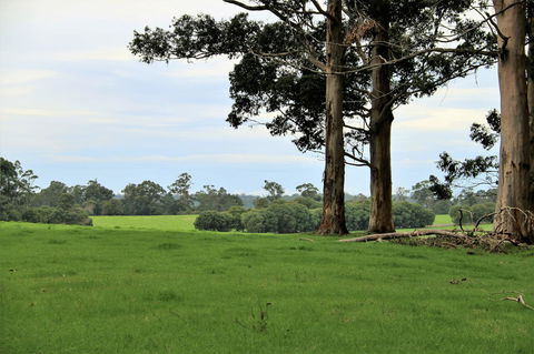 Treenbrook Cottages - Grafton Accommodation 11
