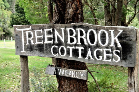 Treenbrook Cottages - Grafton Accommodation 3