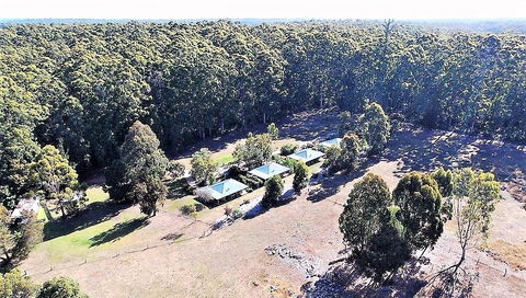 Treenbrook Cottages - Grafton Accommodation 1