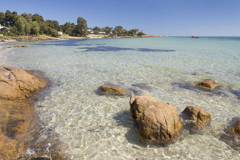 Calm Waters - Grafton Accommodation 4