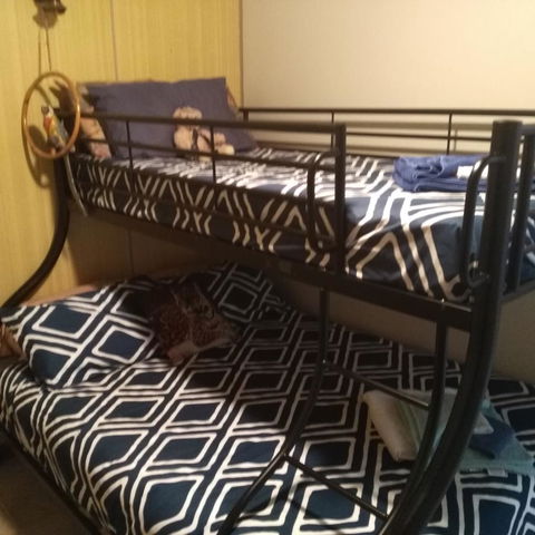 Don\'t Worry Be Happy - Grafton Accommodation 13