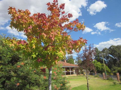 Bridgetown Valley Lodge - Grafton Accommodation 40