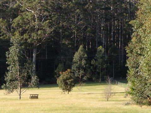 Big Brook Retreat - Grafton Accommodation 5