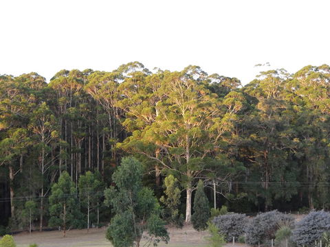 Big Brook Retreat - Grafton Accommodation 11