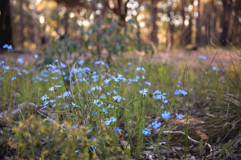 Amaroo Retreat & Spa - Grafton Accommodation 15