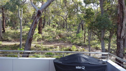 Cape Villas - Grafton Accommodation 5