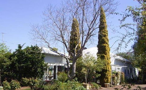 Jacaranda Guest House - Grafton Accommodation 37