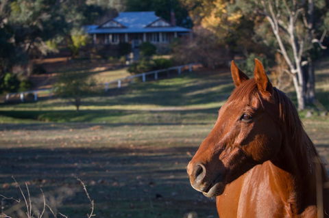 Historic Oakhill House Entire Estate - Grafton Accommodation 9