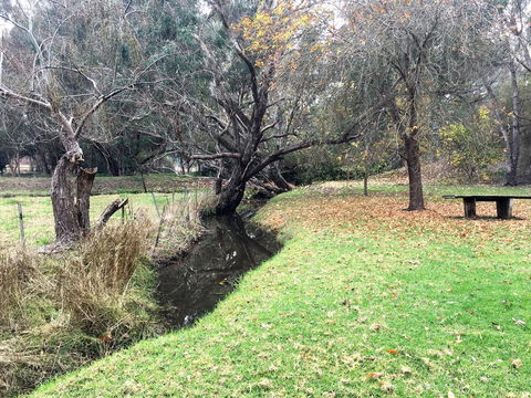 Historic Oakhill House Entire Estate - Grafton Accommodation 18