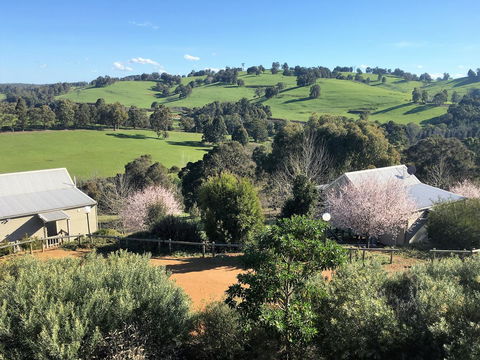 Balingup Highview Chalets - Grafton Accommodation 5