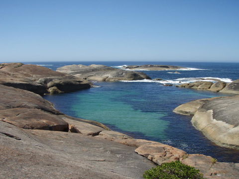 Francisca\'s Cottage - Grafton Accommodation 11