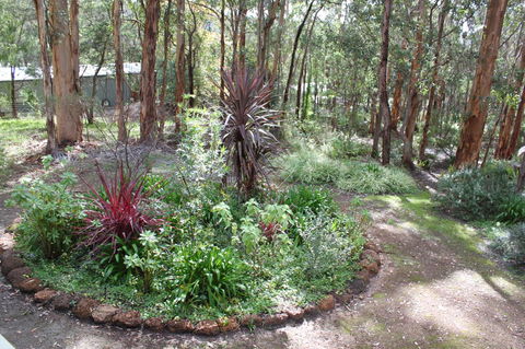 Francisca\'s Cottage - Grafton Accommodation 2