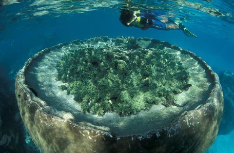 Sal Salis Ningaloo Reef - Grafton Accommodation 8