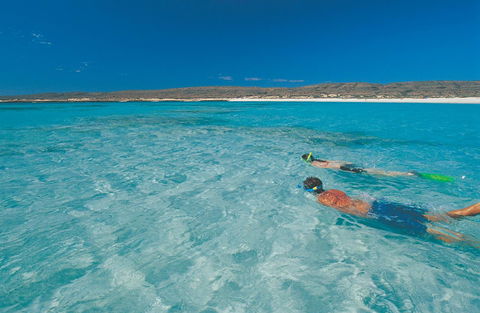 Sal Salis Ningaloo Reef - Grafton Accommodation 9