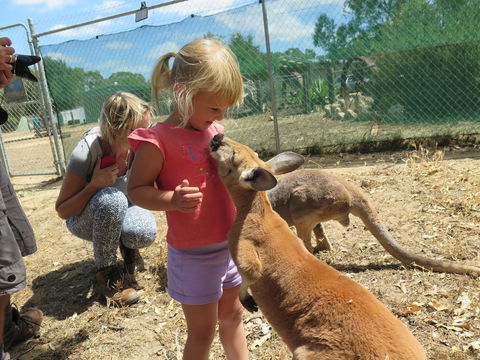 Jurien Beachfront Holiday Units - Grafton Accommodation 36