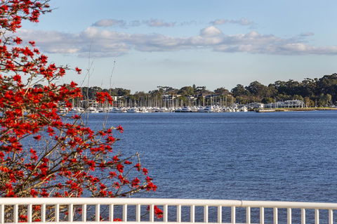 Como Executive Apartment - Grafton Accommodation 22