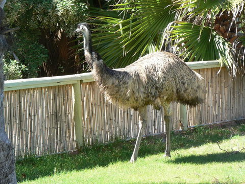 Wildsights Villas - Grafton Accommodation 29