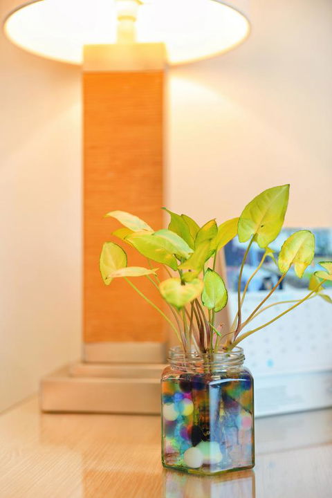 Bunbury Hotel Koombana Bay - Grafton Accommodation 7
