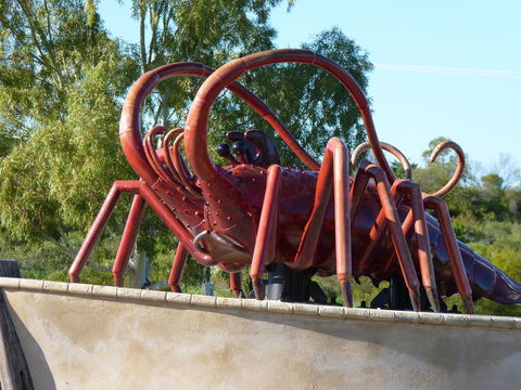 Leander Reef Holiday Park - Grafton Accommodation 4