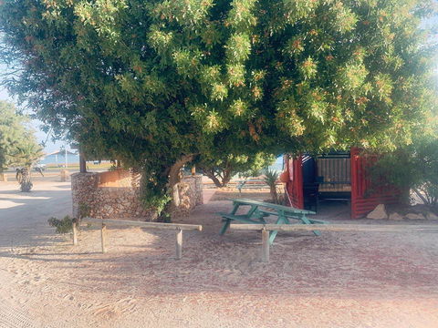 Shark Bay Cottages - Grafton Accommodation 35