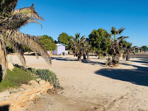 Shark Bay Cottages - Grafton Accommodation 12