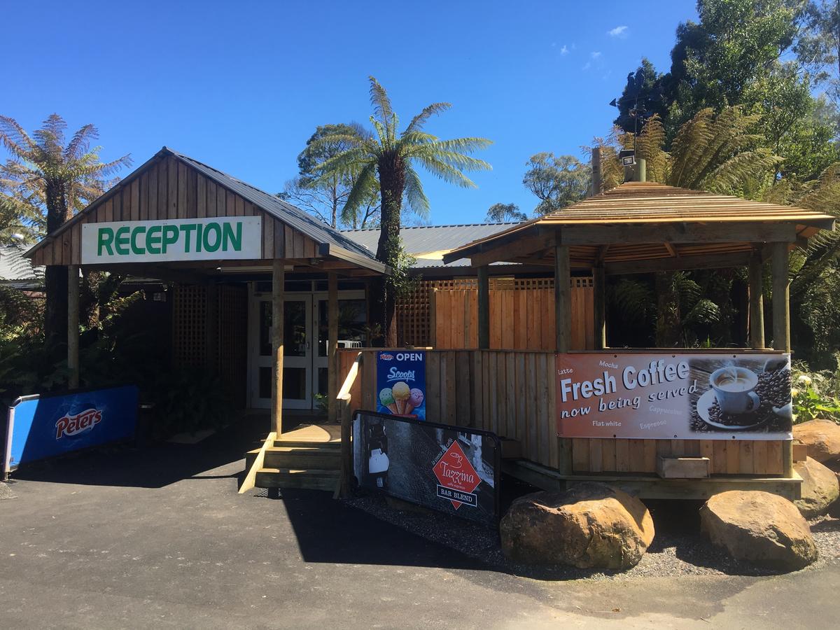 Black River TAS Grafton Accommodation