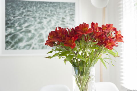 On The Beach Waterfront Apartment - Grafton Accommodation 0