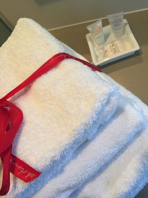 Clydesdale Manor - Grafton Accommodation 11