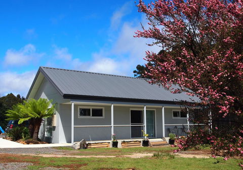 Erriba House - Grafton Accommodation 3