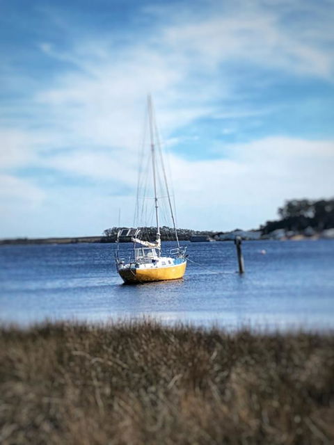 Aloft Boutique Accommodation - Grafton Accommodation 19