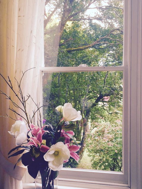 Wandering Geese Boutique Bed And Breakfast - Grafton Accommodation 27