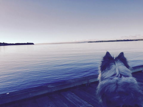 Wandering Geese Boutique Bed And Breakfast - Grafton Accommodation 21