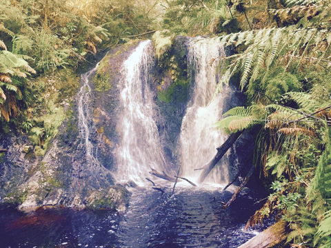 Wandering Geese Boutique Bed And Breakfast - Grafton Accommodation 29