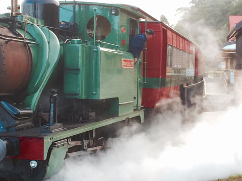 Wandering Geese Boutique Bed And Breakfast - Grafton Accommodation 31