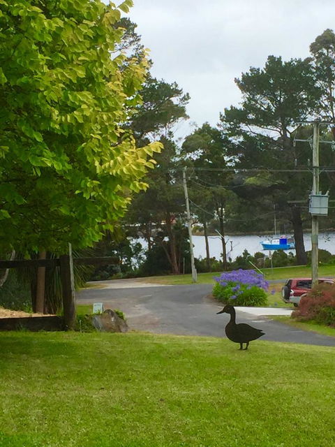 Wandering Geese Boutique Bed And Breakfast - Grafton Accommodation 15