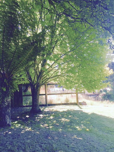 Wandering Geese Boutique Bed And Breakfast - Grafton Accommodation 30