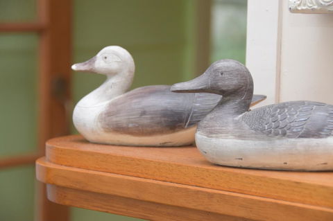 Wandering Geese Boutique Bed And Breakfast - Grafton Accommodation 20