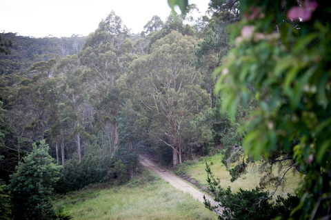 The Pear Cottage - Grafton Accommodation 19