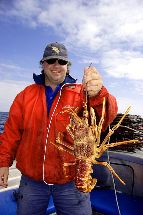 Horizon Deluxe Apartments - Grafton Accommodation 15