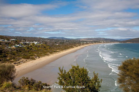 The Sandy Sister - Grafton Accommodation 37