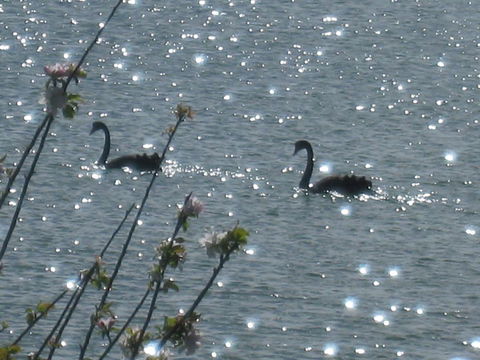 Driftwood - Grafton Accommodation 6