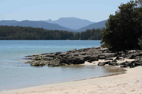 Driftwood - Grafton Accommodation 14