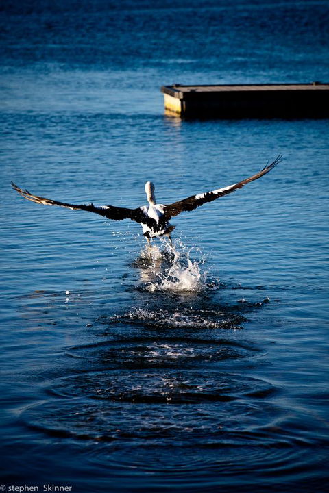 The Waterfront Wynyard - Grafton Accommodation 17