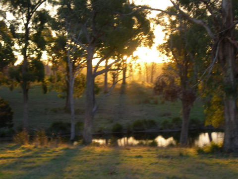 Platypus Park Country Retreat - Grafton Accommodation 30