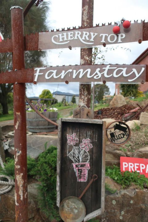 Cherry Top Farmstay - Boutique Eco Village - Grafton Accommodation 5