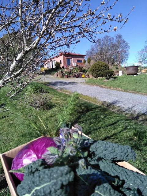 Cherry Top Farmstay - Boutique Eco Village - Grafton Accommodation 23