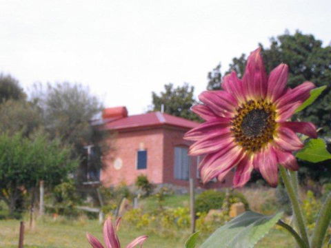 Cherry Top Farmstay - Boutique Eco Village - Grafton Accommodation 27