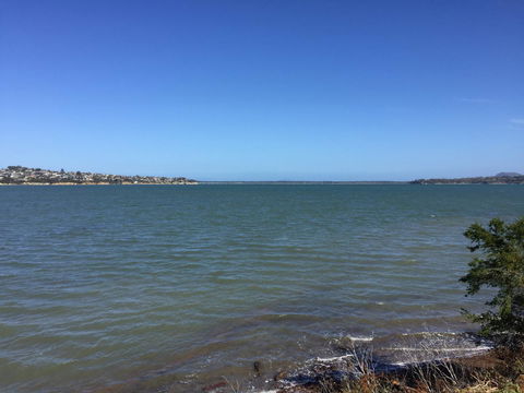 Garden By The Beach - Gateway To The East Coast, Close To Airport - Grafton Accommodation 16