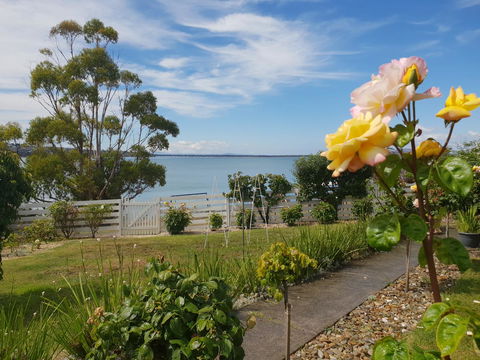 Garden By The Beach - Gateway To The East Coast, Close To Airport - Grafton Accommodation 23